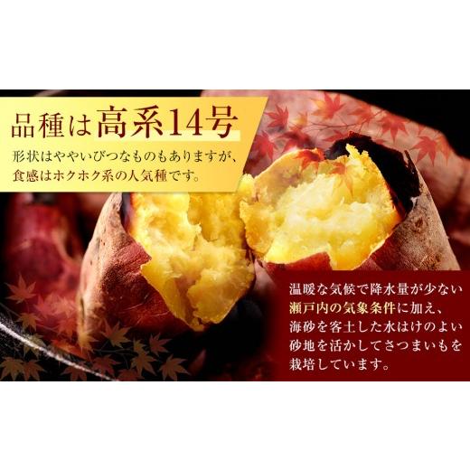ふるさと納税 野菜類 サツマイモ 香川県 坂出市  2026年8月下旬以降発送・先行予約 訳あり 坂出金時いも 約5kg×2箱 2L〜Mサイズ | さつまいも 芋 サツマイ…の画像