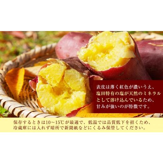 ふるさと納税 野菜類 サツマイモ 香川県 坂出市  2026年8月下旬以降発送・先行予約 訳あり 坂出金時いも 約5kg×2箱 2L〜Mサイズ | さつまいも 芋 サツマイ…の画像