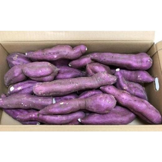 ふるさと納税 野菜類 サツマイモ 香川県 坂出市  2026年8月下旬以降発送・先行予約 訳あり 坂出金時いも 約5kg×2箱 2L〜Mサイズ | さつまいも 芋 サツマイ…の画像