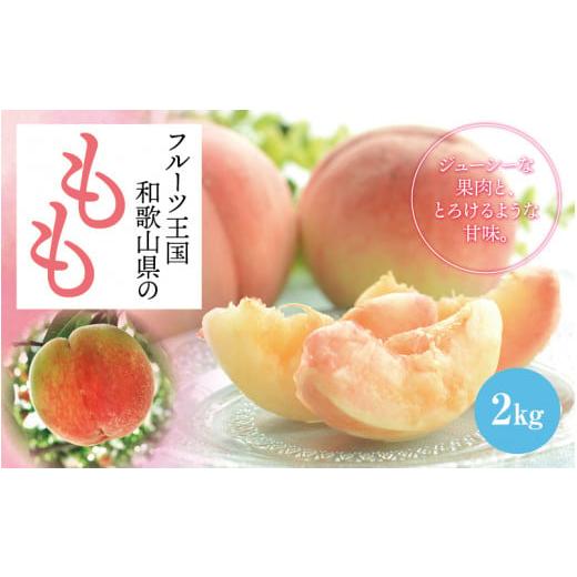 ふるさと納税 もも 和歌山県 すさみ町 先行予約 夏の美味 和歌山ブランド フルーツ王国 和歌山の桃 約2kg 2026年6月中旬〜7月下旬頃順次発送予定(お届け…