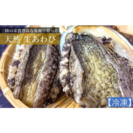 ふるさと納税 魚貝類 アワビ 岩手県 久慈市 期間限定 とれたてを冷凍してお届け 三陸の荒波で育った久慈産天然「あわび(生冷凍)」300g 「生冷凍」生あわび …
