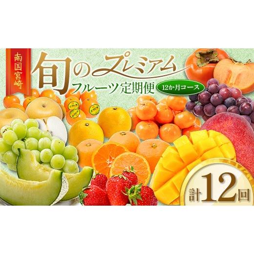 ふるさと納税 ぶどう マスカット 宮崎県 新富町 旬のプレミアムフルーツ定期便 12ヵ月コース F114-25
