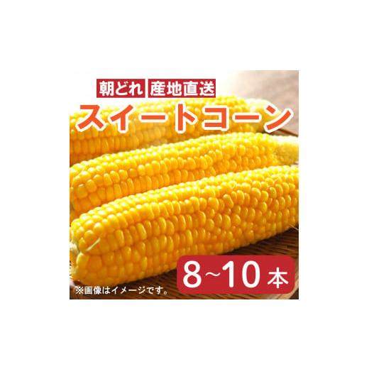 ふるさと納税 徳島県 阿波市 【 先行予約 】 とうもろこし スイートコーン 3kg以上 8〜10本 おおもの 甘い 《 2024年6月〜順次発送 》 朝どり 朝採れ 産地直送…｜furusatochoice｜02