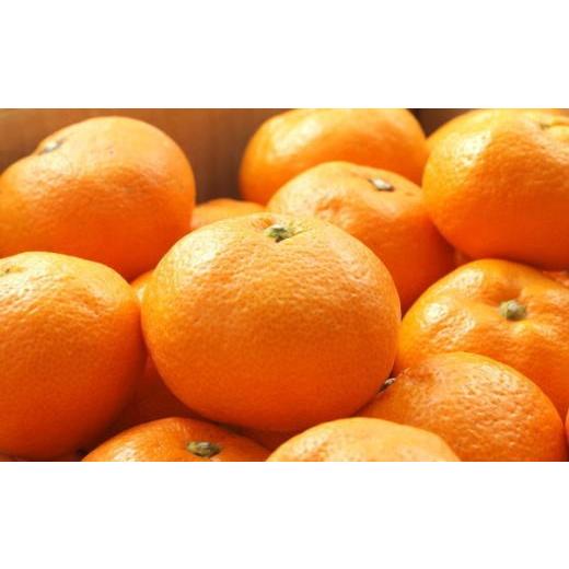 ふるさと納税 果物類 みかん 和歌山県 串本町  ブランドみかん 田村みかん約5kg（2Lサイズ・秀品） 2026年11月下旬〜12月下旬頃に順次発送 tec882A |  | 02