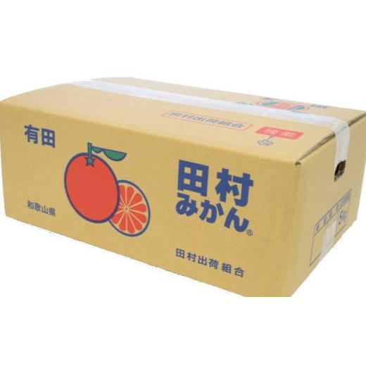 ふるさと納税 果物類 みかん 和歌山県 串本町  ブランドみかん 田村みかん約5kg（2Lサイズ・秀品） 2026年11月下旬〜12月下旬頃に順次発送 tec882A |  | 03