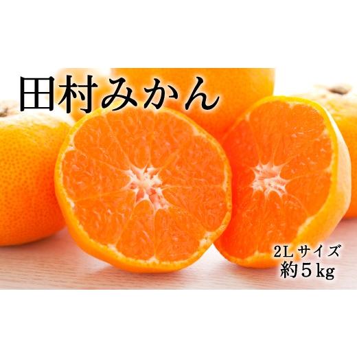 ふるさと納税 果物類 みかん 和歌山県 北山村  ブランドみかん 田村みかん約5kg（2Lサイズ・秀品）　 2026年11月下旬より順次発送 tec882A |  | 01
