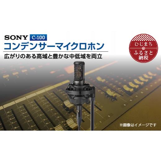 ふるさと納税 大分県 日出町 コンデンサー マイクロホン SONY C-100 _ ソニー マイク 高音質 配信 会議 テレワーク 録音 ゲーム 実況 youtube 