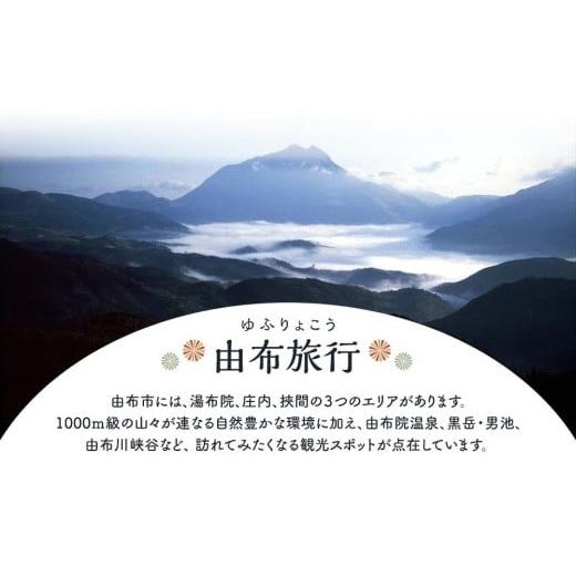 ふるさと納税 大分県 由布市 【由布市（湯布院、由布院、湯平、塚原高原）】ふるさと納税宿泊補助券60，000円分