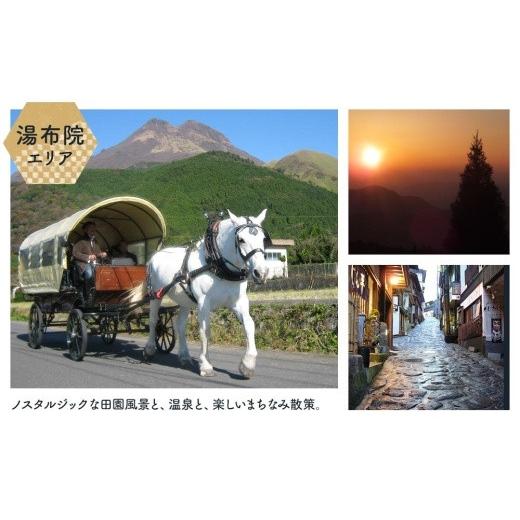 ふるさと納税 大分県 由布市 【由布市（湯布院、由布院、湯平、塚原高原）】ふるさと納税宿泊補助券60，000円分