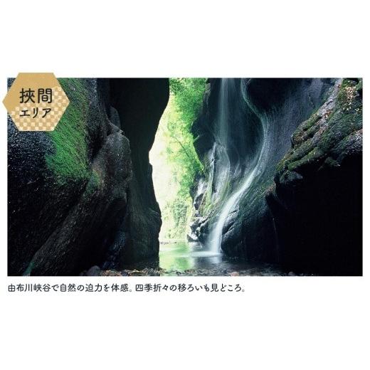 ふるさと納税 大分県 由布市 【由布市（湯布院、由布院、湯平、塚原高原）】ふるさと納税宿泊補助券60，000円分