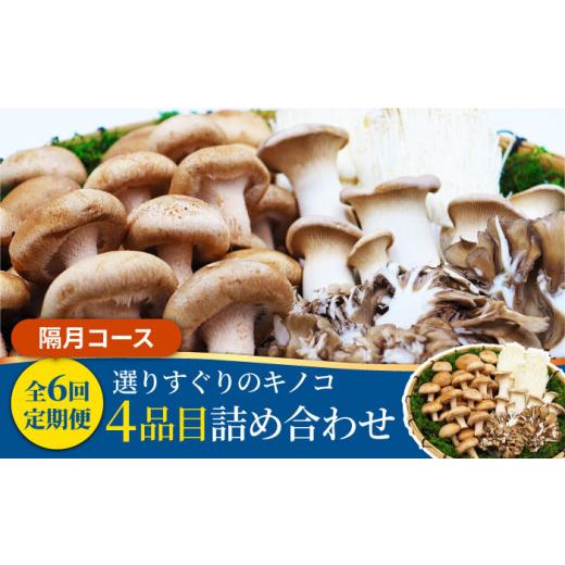 ふるさと納税 野菜類 きのこ 長崎県 南島原市  6回定期便 隔月 きのこ定期便 厳選セット 4品目「6回（隔月）」 ／ 特選キノコ 詰め合わせ きのこ キノコ きの…_1