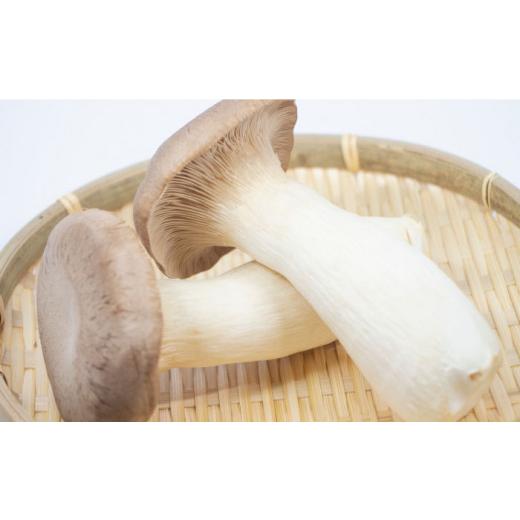 ふるさと納税 野菜類 きのこ 長崎県 南島原市  6回定期便 隔月 きのこ定期便 厳選セット 4品目「6回（隔月）」 ／ 特選キノコ 詰め合わせ きのこ キノコ きの…_3