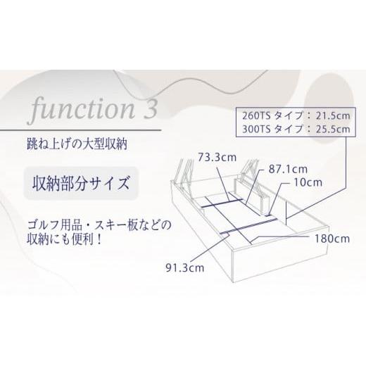 ふるさと納税 タオル・寝具 佐賀県 上峰町 フランスベッド BG-001（跳ね上げ収納タイプ 260mm）上峰町オリジナルマットレス付き シングル T-120 上峰町オリジ…の画像