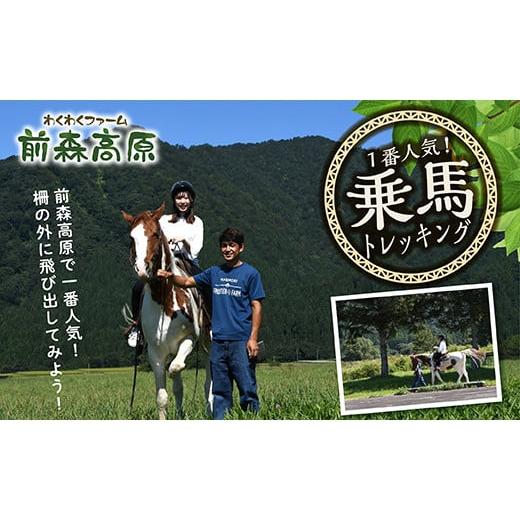 ふるさと納税 山形県 最上町 MG前森高原「乗馬体験」トレッキングコース