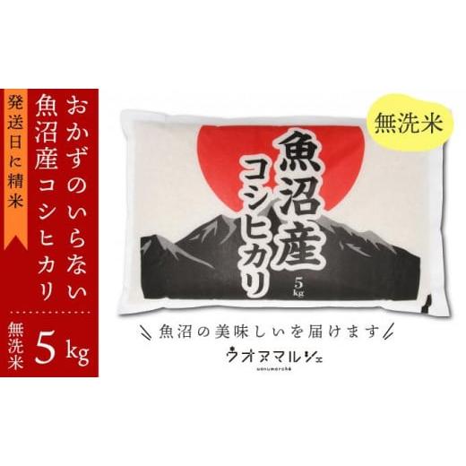 ふるさと納税 無洗米 新潟県 南魚沼市 令和7年産新米 おかずのいらない 魚沼産コシヒカリ 無洗米5kg 令和7年産