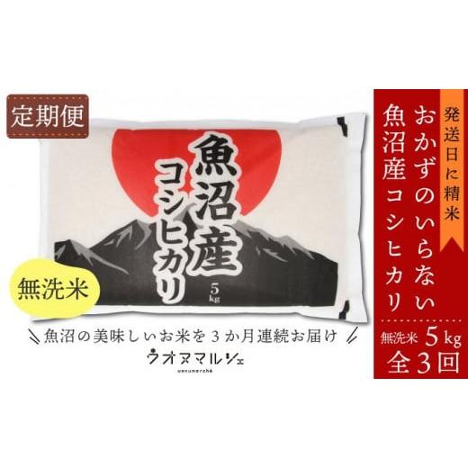 ふるさと納税 無洗米 新潟県 南魚沼市 令和7年産新米 お米定期便/全3回 おかずのいらない 魚沼産コシヒカリ 無洗米5kg