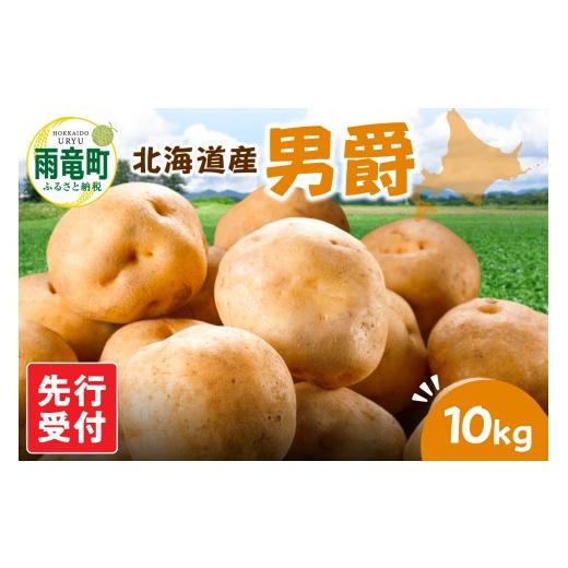 ふるさと納税 野菜類 じゃがいも 北海道 雨竜町 令和8年産先行受付 北海道産 じゃがいも 「男爵」 S〜LLサイズ10kg[9月より発送]