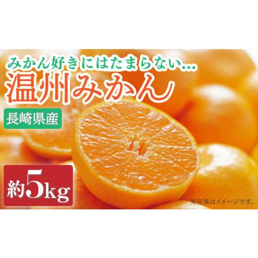 ふるさと納税 長崎県 南島原市 【2024年11月下旬〜発送】【高糖度】 温州みかん 約5kg ／ みかん 南島原市 ／ 南島原果物屋 [SCV011]｜furusatochoice｜02