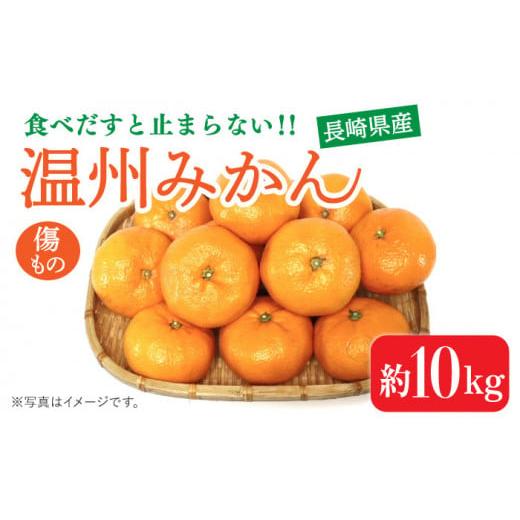 ふるさと納税 長崎県 南島原市 【2024年11月下旬〜発送】【高糖度】 温州みかん 約10kg（傷もの） ／ みかん 南島原市 ／ 南島原果物屋 [SCV015]｜furusatochoice｜02