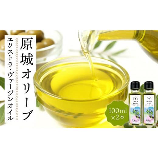 ふるさと納税 食用油 オリーブオイル 長崎県 南島原市 2024年11月 