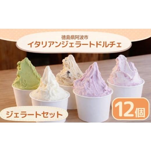 ふるさと納税 アイス・ヨーグルト ジェラート 徳島県 阿波市 ジェラート イタリアンジェラート おまかせセット 12個 120ml アイスクリーム アイス シャーベッ…