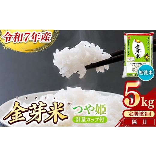ふるさと納税 無洗米 島根県 安来市 定期便 BG無洗米・金芽米つや姫 5kg×3回 (隔月)計量カップ付き 令和7年産 2ヶ月に1回 6ヶ月 計15kg 東洋ライス 健康 …