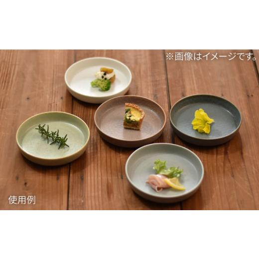 ふるさと納税 食器・グラス 皿 岐阜県 土岐市 美濃焼 cuisine