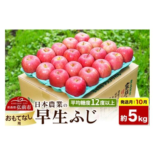 ふるさと納税 りんご 青森県 弘前市 26年10月発送 りんご 早生ふじ おもてなし用 約5kg 平均糖度12度以上 青森 果物 フルーツ 林檎 リンゴ くだもの 先行受付…