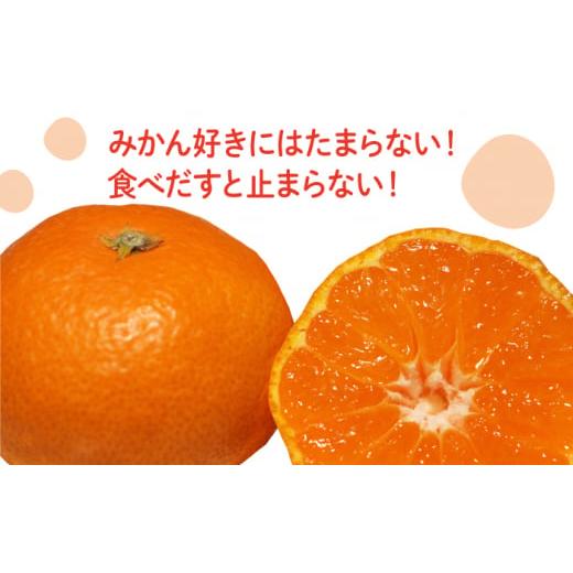 ふるさと納税 長崎県 南島原市 【2024年12月〜発送】【2回定期便】フルーツ定期便 高糖度 温州みかん（約10kg×2回） ／ みかん ミカン 蜜柑 完熟 温州みかん …｜furusatochoice｜05