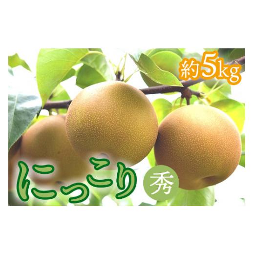 ふるさと納税 梨 栃木県 那須烏山市 14-8 期間限定 梨(にっこり)秀 約5kg(7玉程度) | なし フルーツ 果物 新鮮 デザート 2026年10月〜発送