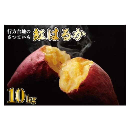 ふるさと納税 野菜類 サツマイモ 茨城県 行方市  2026年9月より順次発送 訳あり 無選別 行方台地のさつまいも 紅はるか 約10kg｜さつまいも 芋 サツマイモ 紅…の画像