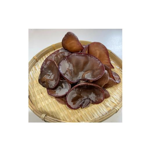 ふるさと納税 野菜類 きのこ 鹿児島県 薩摩川内市 AS-024 数量限定・無農薬 薩摩川内市産の生きくらげ 360g（120g×3パック）_2