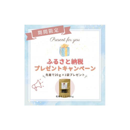 ふるさと納税 野菜類 きのこ 鹿児島県 薩摩川内市 AS-024 数量限定・無農薬 薩摩川内市産の生きくらげ 360g（120g×3パック）_6