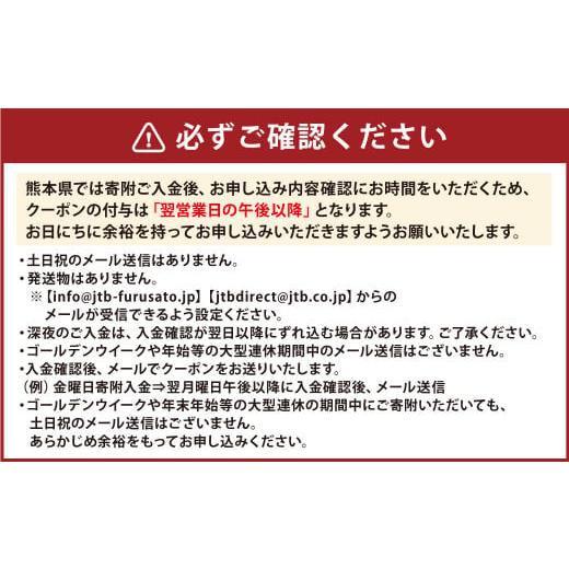 ふるさと納税 熊本県 - 【熊本県内の旅行に使える】JTBふるぽWEB旅行クーポン（15,000円分）｜furusatochoice｜03