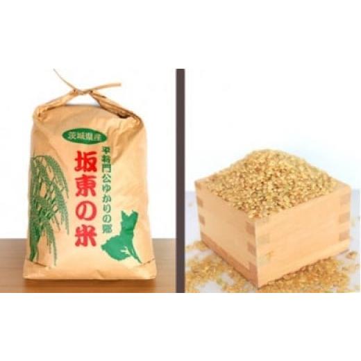 ふるさと納税 玄米 茨城県 坂東市 令和7年産 茨城県坂東産 コシヒカリ