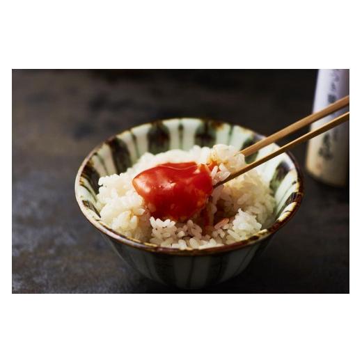 ふるさと納税 醤油 京都府 京都市  京都 京一皿分の料理 立神 あさつき?油かざり付ける九鼎大呂２本仕かける［ 京都 京一皿分の料理 一般受け おすすめ 老舗 食い道楽 差し上げ物 差し上げ物 差し上げる用 …