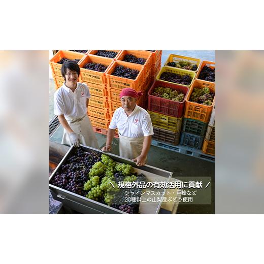 ふるさと納税 山梨県 山梨市 お酢のイメージを変える熟成飲む酢!ドリンクビネガーぶどう 2本セット(7倍濃縮タイプ)【1336551】 ドリンクビネガーぶどう