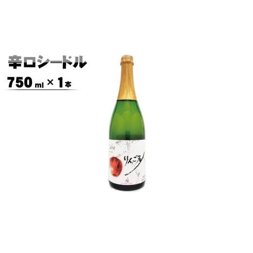 ふるさと納税 長野県 須坂市 辛口シードル750ml×1本[楠わいなりー]