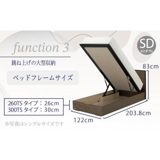 ふるさと納税 タオル・寝具 佐賀県 上峰町 フランスベッド BG-001（跳ね上げ収納タイプ 260mm）上峰町オリジナルマットレス付き セミダブル T-121 上峰町オリ…の画像