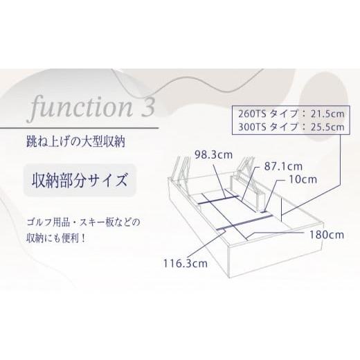 ふるさと納税 タオル・寝具 佐賀県 上峰町 フランスベッド BG-001（跳ね上げ収納タイプ 260mm）上峰町オリジナルマットレス付き セミダブル T-121 上峰町オリ…の画像