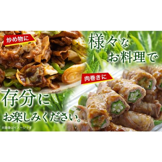 ふるさと納税 宮崎県 都城市 「バイオ茶ポーク」しゃぶしゃぶ満喫3.8kgセット(ロース・バラ・肩ロース・モモ)_17-3602_(都城市) 都城産 バイオ茶ポーク ロース…｜furusatochoice｜05