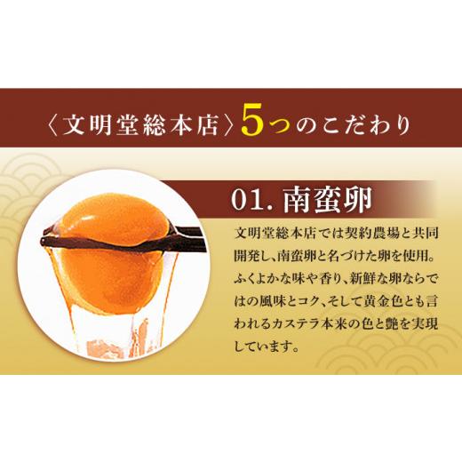 ふるさと納税 菓子 カステラ 長崎県 西海市  嬉しい詰め合わせ 3回定期便 長崎カステラ カットカステラ 4箱入 文明堂総本店 CFG015_6