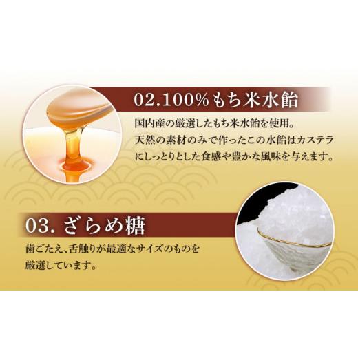 ふるさと納税 菓子 カステラ 長崎県 西海市  嬉しい詰め合わせ 3回定期便 長崎カステラ カットカステラ 4箱入 文明堂総本店 CFG015_7