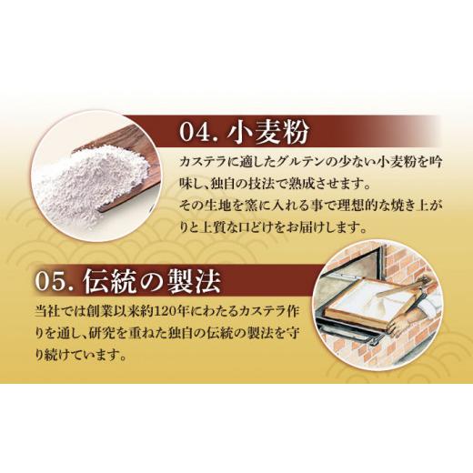 ふるさと納税 菓子 カステラ 長崎県 西海市  嬉しい詰め合わせ 3回定期便 長崎カステラ カットカステラ 4箱入 文明堂総本店 CFG015_8