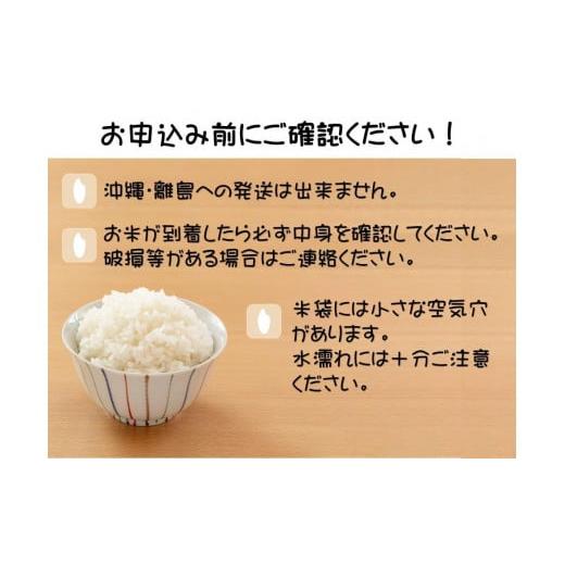 ふるさと納税 栃木県 大田原市 令和5年産 栃木県産　なすひかり　10ｋｇ （5ｋｇ×2袋） ＪＡなすの産地直送　【大田原市・那須塩原市・那須町共通返礼品】｜furusatochoice｜04