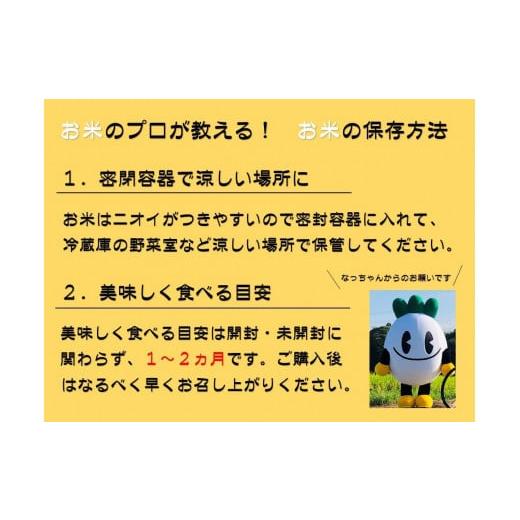 ふるさと納税 栃木県 大田原市 令和5年産 栃木県産　なすひかり　10ｋｇ （5ｋｇ×2袋） ＪＡなすの産地直送　【大田原市・那須塩原市・那須町共通返礼品】｜furusatochoice｜05