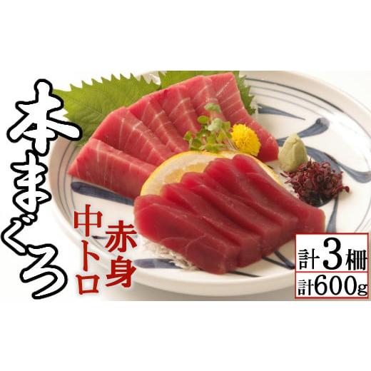 ふるさと納税 高知県 室戸市 天然本マグロ 中トロ2柵 赤身1柵 (計600g)