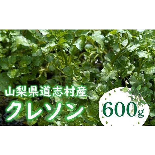 ふるさと納税 野菜類 山梨県 道志村 クレソン 600g 北海道・沖縄・離島への配送不可 着日指定不可 ふるさと納税 野菜 やさい クレソン 付け合わせ 山梨県 道志…