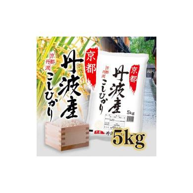 ふるさと納税 米 コシヒカリ 京都府 綾部市 令和7年度産 新米 丹波産 こしひかり 5kg 京都 綾部 お米 コメ 5キロ 精米 白米 こしひかり コシヒカリ 米 丹波