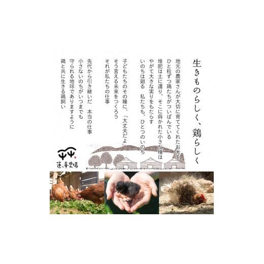 ふるさと納税 京都府 綾部市 平飼いたまご 24個×月2回×6ヶ月 【 卵定期便 たまご定期便 平飼い卵 非遺伝子組み換え 自家配合 たまご タマゴ 平飼い 卵 国産 …｜furusatochoice｜06